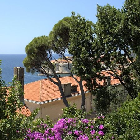 Tole Apartment Dubrovnik Luaran gambar